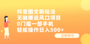 抖音图文新玩法:无脑搬运风口项目,0门槛一部手机轻松操作日入500+-技研社