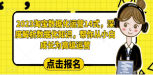 2023淘宝数据化-运营 14式，深度解析数据化知识，帮你从小白成长为高级运营 - 技研社-技研社