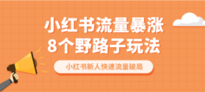 想搞小红书流量？这份副业实操资料把路铺好了-技研社