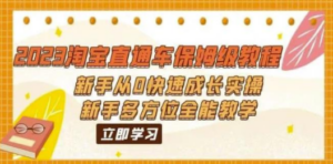 2023淘宝直通车保姆级教程:新手从0快速成长实操,新手多方位全能教学 - 技研社-技研社
