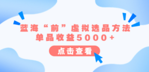 某公众号付费文章《蓝海“前”虚拟选品方法:单品收益5000+》-技研社