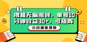 小白新手福音:携程无脑搬砖项目,单号操作10分钟收益30+,可矩阵可放大 - 技研社-技研社