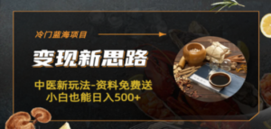 冷门蓝海项目-中医新玩法-资料免费送小白也能日入500+ - 技研社-技研社