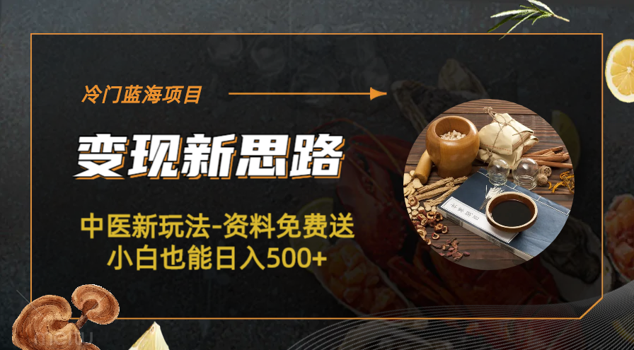 冷门蓝海项目-中医新玩法-资料免费送小白也能日入500+ 冷门蓝海项目-中医新玩法-资料免费送小白也能日入500+