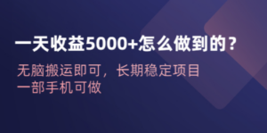 一天收益5000+怎么做到的？无脑搬运即可，长期稳定项目，一部手机可做 - 技研社-技研社