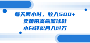 每天两小时，收入500+，卖莆田高端篮球鞋，小白轻松月入过万（教程+素材） - 技研社-技研社