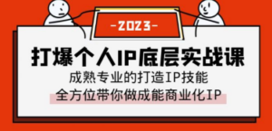 打爆·个人IP底层实战课，成熟专业的打造IP技能 全方位带你做成能商业化IP - 技研社-技研社