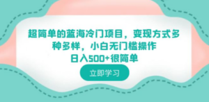 超简单的蓝海冷门项目,变现方式多种多样,小白无门槛操作日入500+很简单 - 技研社-技研社