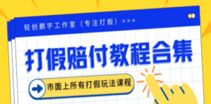 2023年全套打假合集,集合市面所有正规打假玩法(非正规打假的没有) - 技研社-技研社