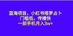 蓝海项目，小红书塔罗占卜，门槛低，传播快，一部手机月入3w+ - 技研社-技研社