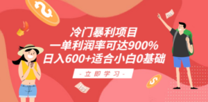 想搞冷门暴利项目？这份副业实操资料把路铺好了-技研社