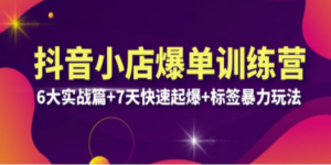 抖音小店爆单训练营VIP线下课：6大实战篇+7天快速起爆+标签暴力玩法(32节) - 技研社-技研社