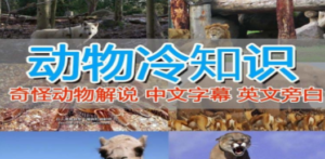 外面卖1699的国外纪录片解说:动物解说,美食-技研社