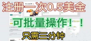 国外项目注册一次0.5美金 只需三分钟无脑操作 可批量放大 小白工作室福利 - 技研社-技研社