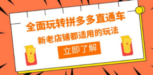 全面玩转拼多多直通车，新老店铺都适用的玩法（12节精华课） - 技研社-技研社