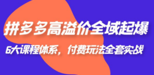 拼多多-高溢价 全域 起爆,6大课程体系,付费玩法全套实战 - 技研社-技研社