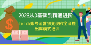 2023从0基础到精通进阶，TikTok账号运营到变现的全流程出海模式培训 - 技研社-技研社