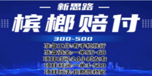 最新外卖槟榔赔付思路,一单收益至少300+(仅揭秘) - 技研社-技研社