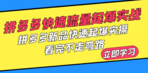 拼多多-快速流量起爆实战，拼多多新品快速起爆实操，看完不走弯路 - 技研社-技研社