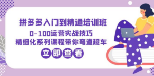 2023拼多多入门到精通培训班：0-100运营实战技巧 精细化系列课带你弯道超车 - 技研社-技研社