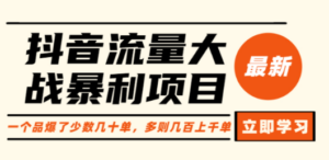 抖音流量大战暴利项目-技研社