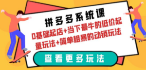 拼多多系统课：0基础起店+当下最牛的低价起量玩法+简单粗暴的动销玩法 - 技研社-技研社