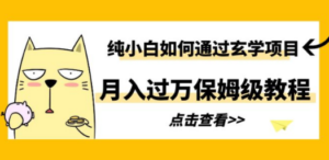 纯小白如何通过玄学项目月入过万保姆级教程 - 技研社-技研社