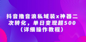 抖音撸音浪私域装x神器二次转化，单日变现超500（详细操作教程） - 技研社-技研社