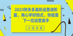2023拼多多高阶运营进阶篇，用心学好四式，你就是下一位运营高手 - 技研社-技研社