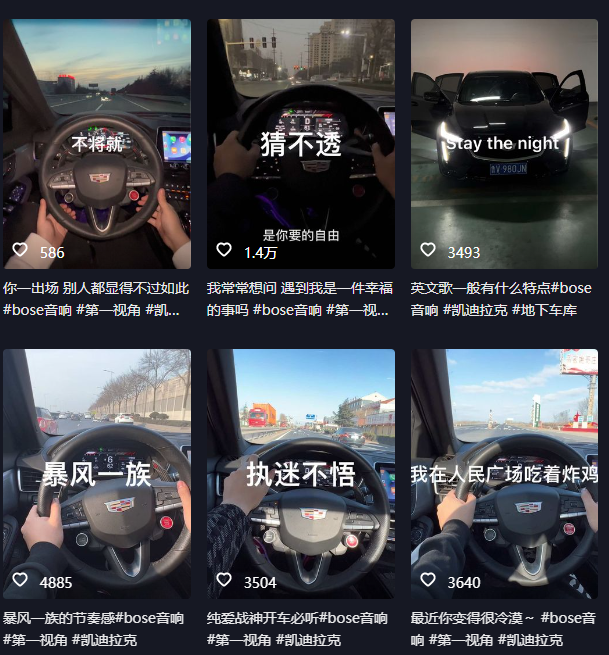 抖音开车视频项目,0基础操作,每天五分钟,月入1W+ 抖音开车视频项目,0基础操作,每天五分钟,月入1W+