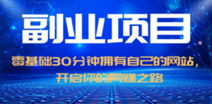 零基础30分钟拥有自己的网站:日赚1000+,开启你的网赚之路-技研社