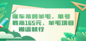 懂车帝薅羊毛，单号最高165元，羊毛项目，搬运就行 - 技研社-技研社
