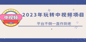 2023一心0基础玩转中视频项目：平台不倒，一直做到老 [复制链接] - 技研社-技研社