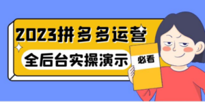 2023拼多多·运营:14节干货实战课,拒绝-口嗨,全后台实操演示 - 技研社-技研社
