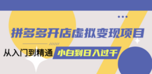 拼多多开店虚拟变现项目：入门到精通 从小白到日入1000（完整版）6月13更新 - 技研社-技研社