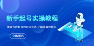 新手起号实操教程:掌握各种起号的玩法技术,了解流量的核心-技研社
