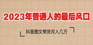 2023普通人的最后风口-技研社