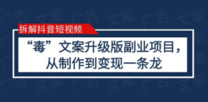 拆解抖音短视频:“毒”文案升级版副业项目,从制作到变现-技研社