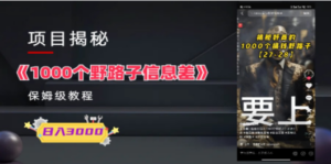 1000个野路子信息差保姆式教程:单日变现3000+的玩法解密-技研社