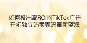 如何投出高ROI·TikTok广告，开拓独立站卖家流量新蓝海 - 技研社-技研社
