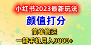 最新小红书颜值打分玩法，日入300+闭环玩法 - 技研社-技研社