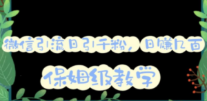 微信互推圈半自动引流方案:矩阵操作日引千人思路,详细视频教程-技研社