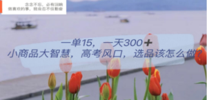 想搞一单15?这份副业实操资料把路铺好了-技研社