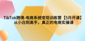 TikTok跨境-电商系统变现训练营【5月新课】从小白到高手，真正的电商实操课 - 技研社-技研社