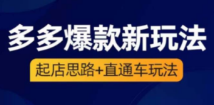 2023拼多多爆款·新玩法:起店思路+直通车玩法(3节精华课) - 技研社-技研社