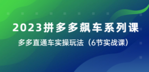 2023拼多多飙车系列课，多多直通车实操玩法（6节实战课） - 技研社-技研社