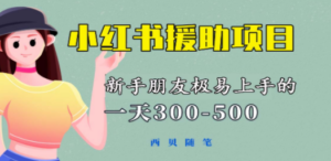 一天300-500!新手朋友极易上手的《小红书援助项目》,绝对值得大家一试 - 技研社-技研社