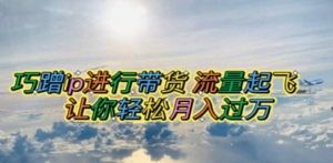 蹭ip进行带货,流量起飞,让你轻松月入过万【脚本+素材】 - 技研社-技研社