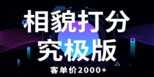 想搞相貌打分究极版?这份副业实操资料把路铺好了-技研社