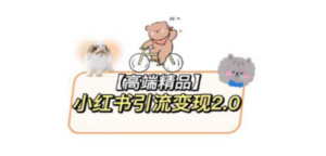 小红书最新引流变现2.0教程，全网最新最详细的视频教程+素材 - 技研社-技研社